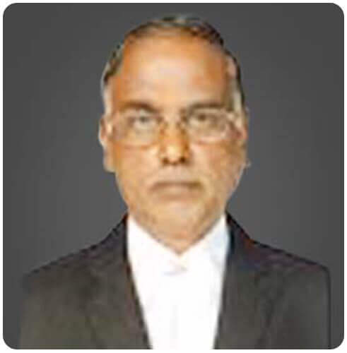 professional-lawyers